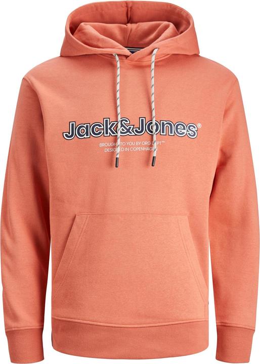 Image du produit Jack & Jones Sweat à capuche (L)