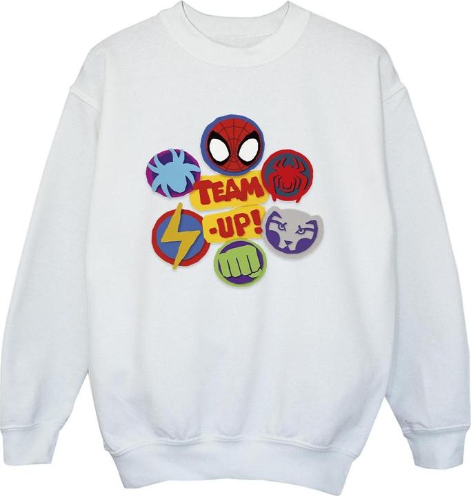 Spidey And His Amazing Friends Team Up Sweatshirt Jungen