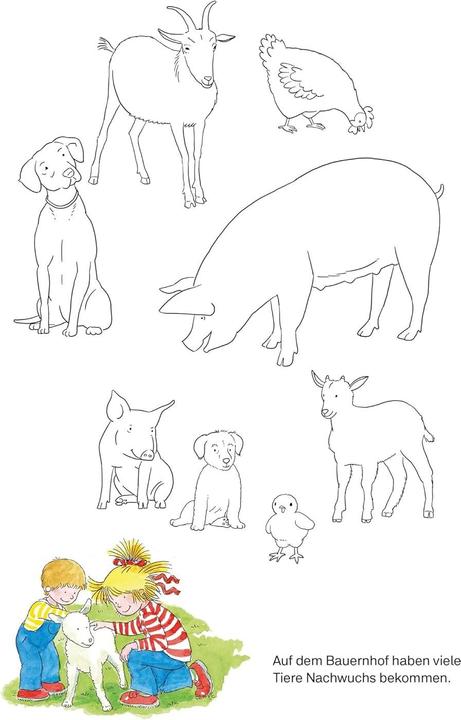 Image du produit Série jaune Conni : mon livre de coloriage interactif super épais