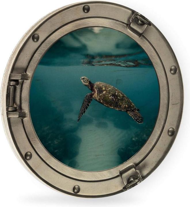 Produktbild Trenddeko 3D-Optik Bullauge - Schildkröte seitlich (Ø 30 cm)