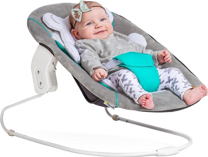 Actual product image Hauck Alpha bouncer 2 in 1