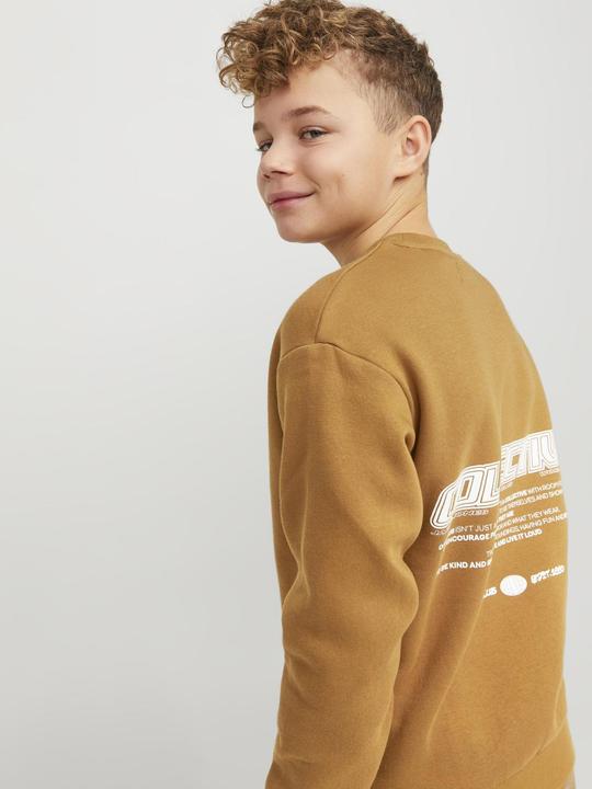Produktbild Jack & Jones Jorcollect Edt Loose Sweat Crew Jnr (140)