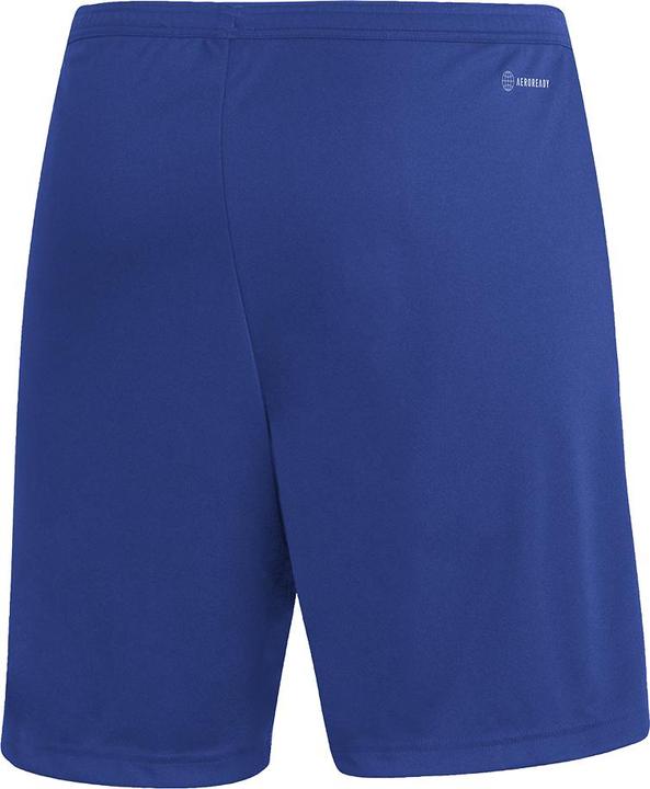 Actual product image adidas Entrada 22 Shorts Men (S)