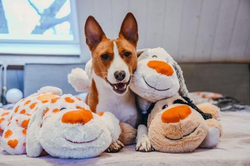Actual product image Beeztees Cuddly toy Suki (Plush toy dog)