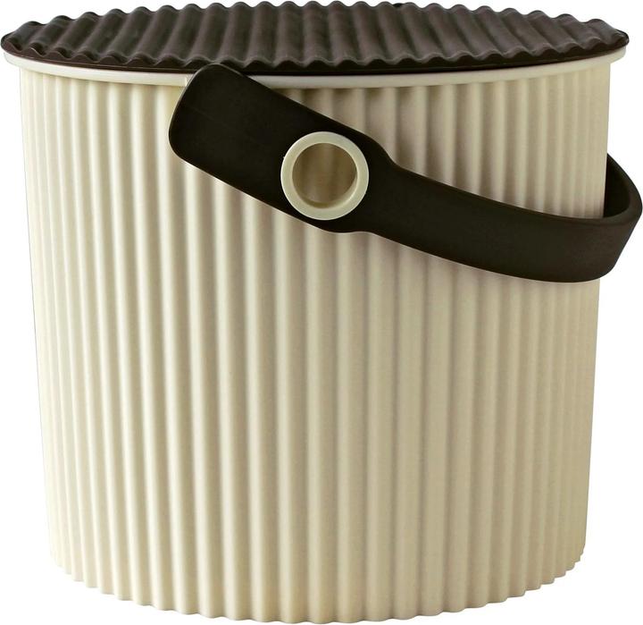 Ivory, Braun