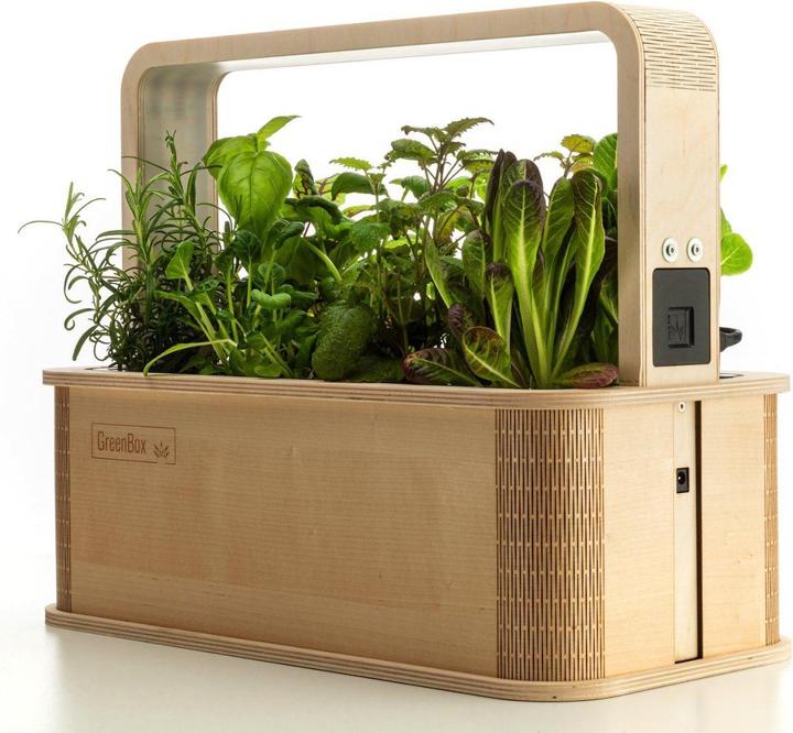 Image du produit BerlinGreen GreenBox Great Variety Bundle