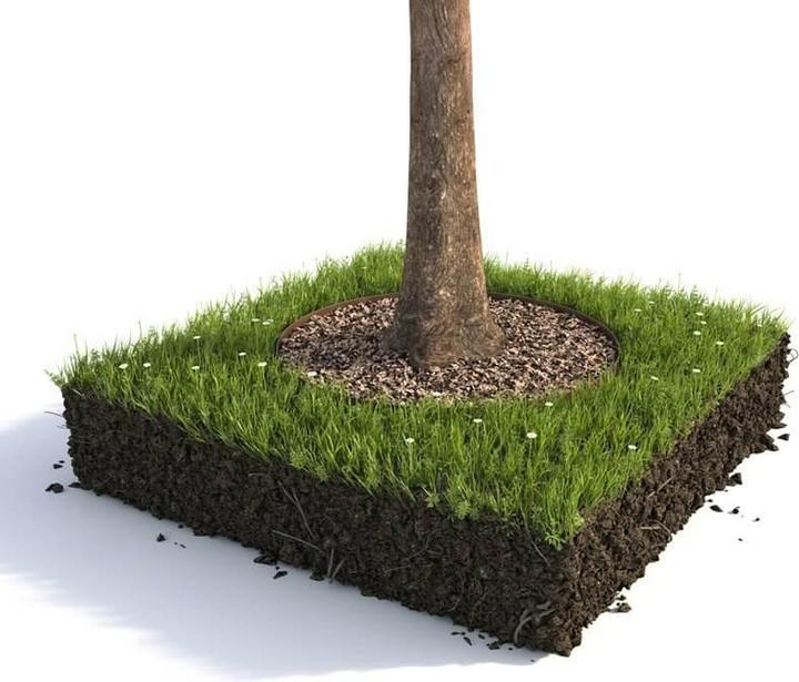 Actual product image Colibri Lawn edge (100 cm)