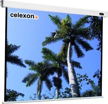 Produktbild Celexon Rollo Professional (120.08", 1:1)