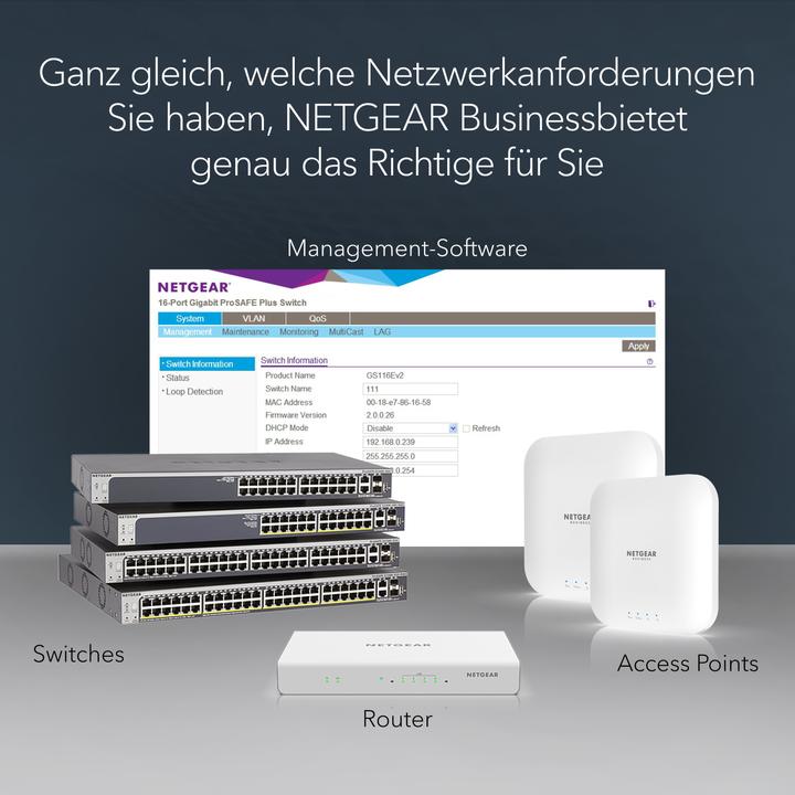 Actual product image Netgear Gs108e-300pes (8 Ports)