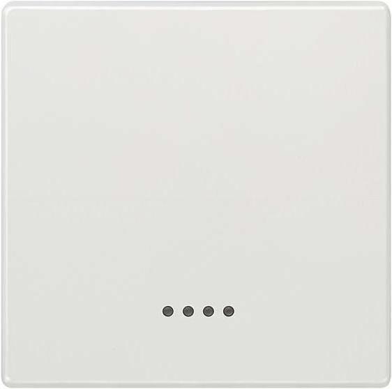 Actual product image Siemens 5TG7140 DELTA style rocker ** with window for control/off/changeover switch