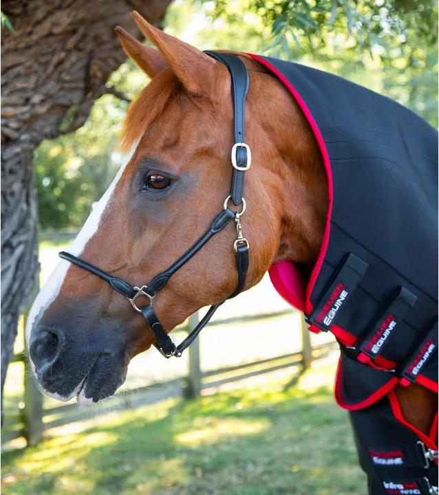 Immagine prodotto Premier Equine Nano-Tec (191 cm)