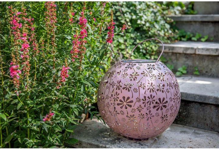 Actual product image STT Antic Daisy