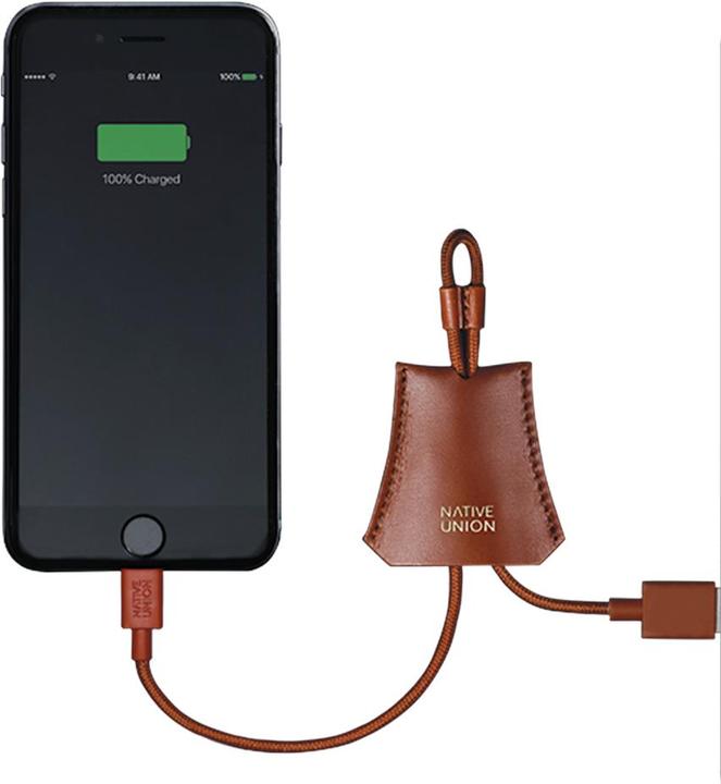 Immagine prodotto Native Union Giorno del cavo (0.10 m, USB 2.0)