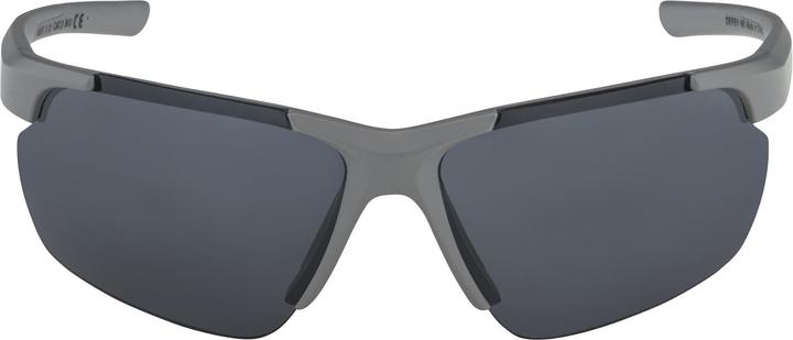 Immagine prodotto ALPINA SPORTS Defey HR (Grigio luna opaco, Argento)