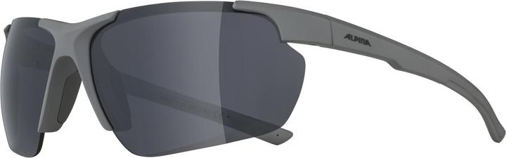 Immagine prodotto ALPINA SPORTS Defey HR (Grigio luna opaco, Argento)