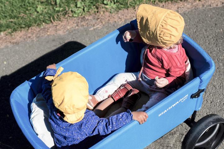 Actual product image Beach Wagon Company Lite handcart
