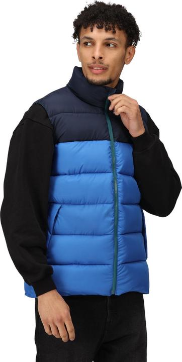 Actual product image Regatta Mens Vintage Colour Block Gilet (3XL)