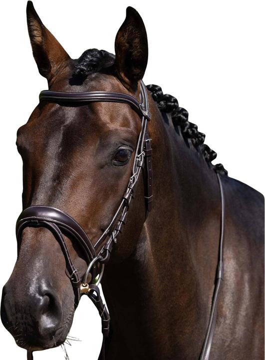Image du produit Premier Equine Cassano