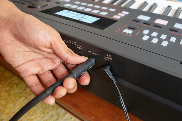 Actual product image Roland E-X50 Keyboard (61 Keys)