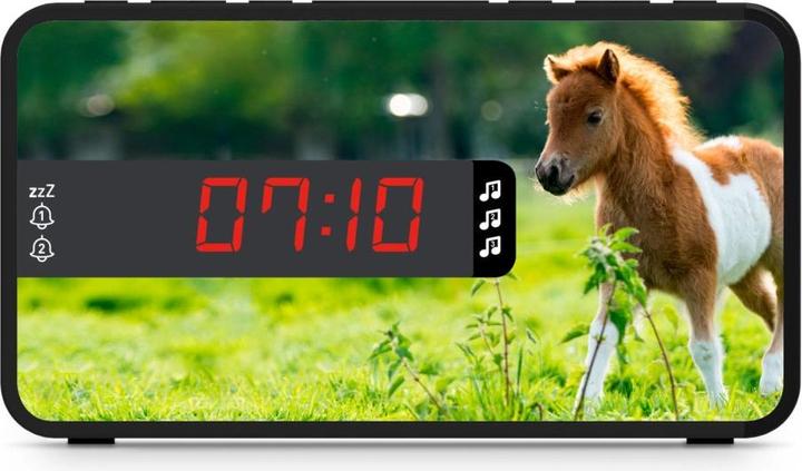Actual product image Bigben Horses