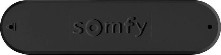 Immagine prodotto somfy Sensore del vento