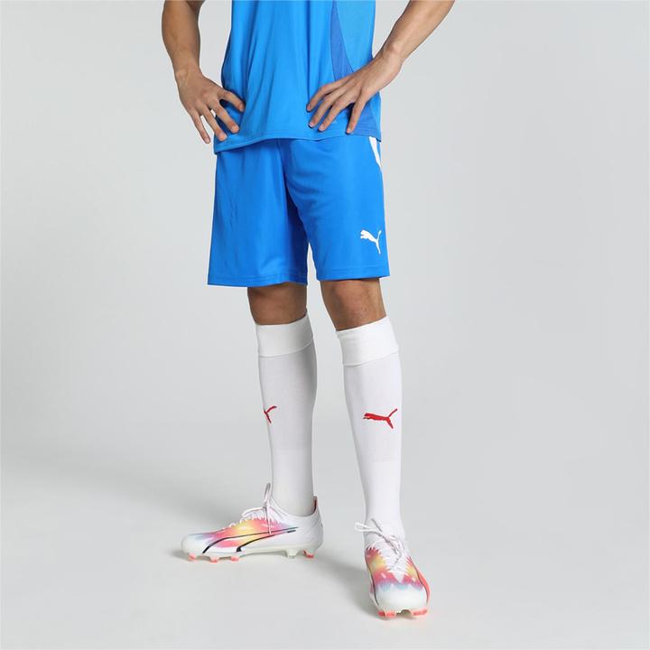 Actual product image Puma teamLIGA Shorts-704924 (48 E)