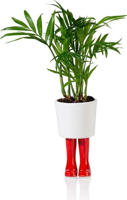 Immagine prodotto Bitten Fioriera Wellington Boot grande (10 cm)