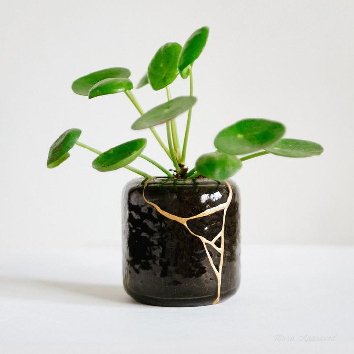 Actual product image Mora Approved DIY Kintsugi Repair Kit
