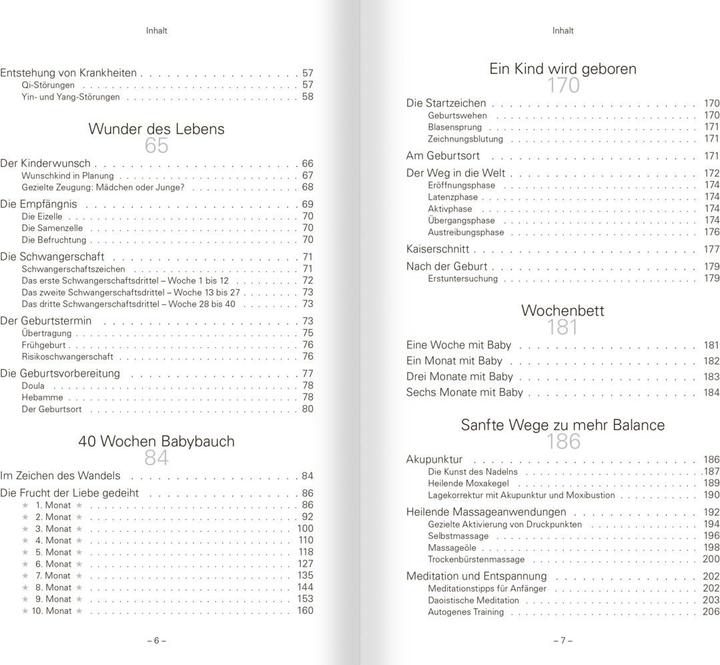 Immagine prodotto TCM für Schwangerschaft, Geburt und Stillzeit (Tedesco, Dottoressa Natalie Lauer, Prof. TCM Univ. Yunnan Li Wu, 2021)