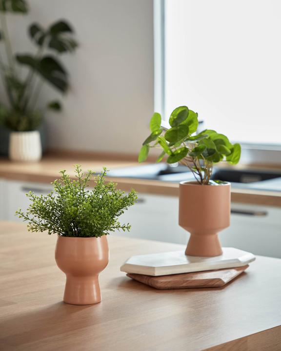 Image du produit Kave Home Myriophyllum (22 cm)