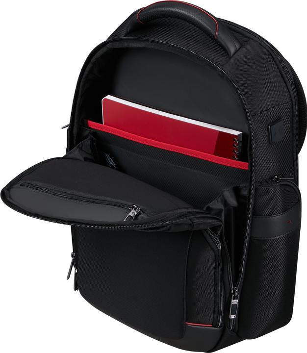 Image du produit Samsonite Pro-DLX 6 Backpack 15.6" (15 l)