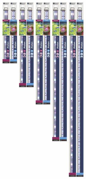Produktbild Aquarium Systems Proten LED bar freshwater 450 - 600 mm,15 W (LED, 15 W)