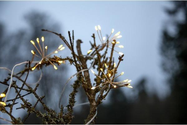 Immagine prodotto Star Trading rugiada goccia fiore luci fata (2.10 m)