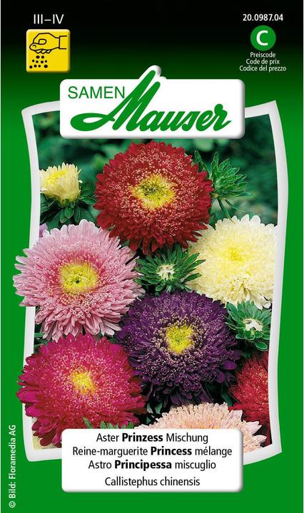 Aster Prinzess, Mischung (Pflanzensamen)