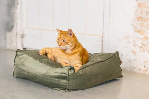 Immagine prodotto Designed by Lotte Velveti (Gatto)