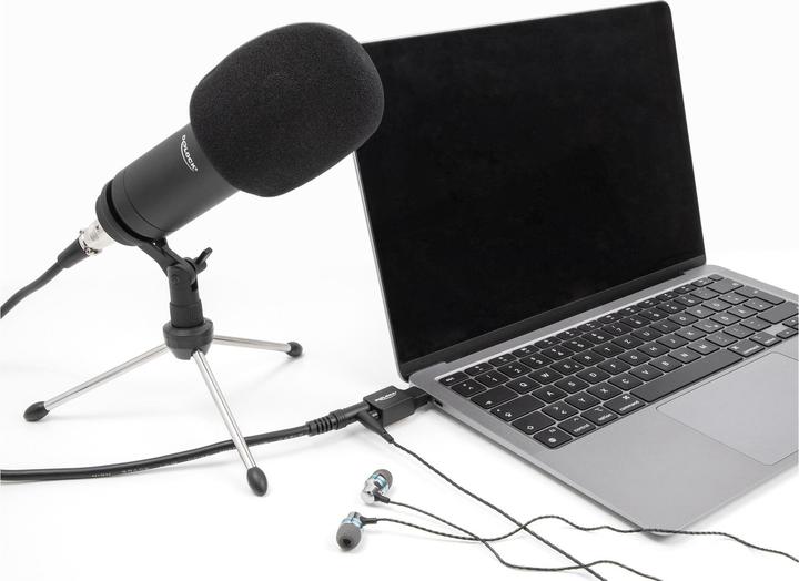 Immagine prodotto Delock Scheda audio USB esterna con connettore Type-C a 2 x 3.5 (USB)