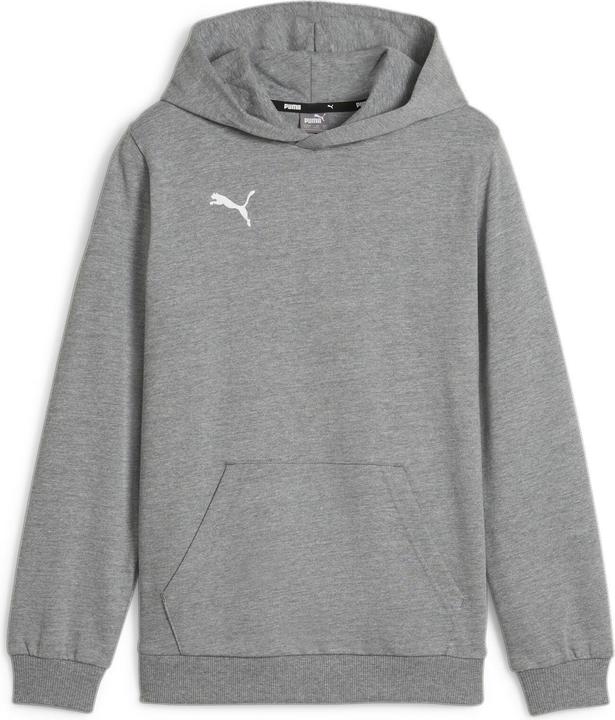 Puma teamGOAL Casuals Hoody Jr
