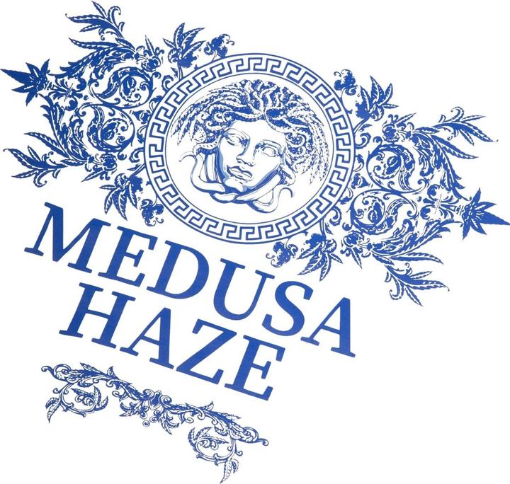 Actual product image Tealer t-shirt medusa (XS)