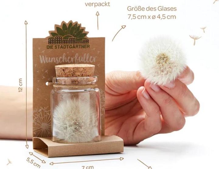 Actual product image Natura Punto Dandelion (Ø 4 x 8 cm)