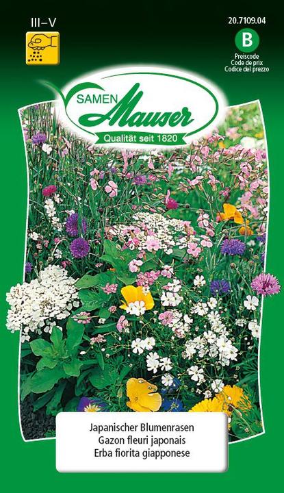 Samen Mauser Japanischer Blumenrasen Mischung (Rasensamen)