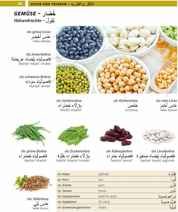 Actual product image PONS Bildwörterbuch Arabisch (German, Arabic, 2025)