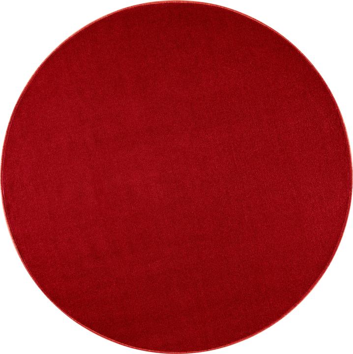 Rot