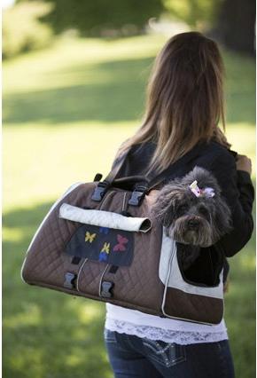 Actual product image Pet Ego Jet Set (Dog, Washable)