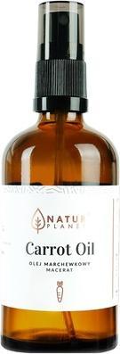 Produktbild NoName NATUR PLANET Olej marchewkowy 100ml (Körperlotion, 100 ml)