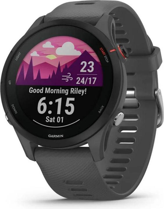 Actual product image Garmin Forerunner 255 Slate Grey (47 mm)