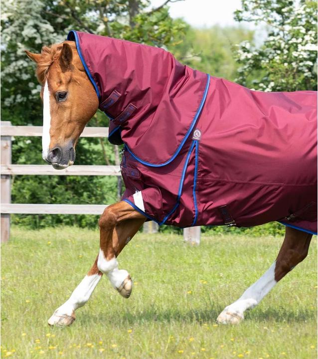 Immagine prodotto Premier Equine Buster 40g (191 cm)