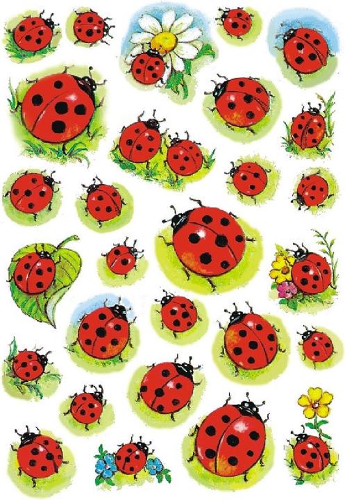 Produktbild Herma Sticker Marienkäfer