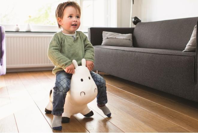 Image du produit BS Vache qui saute