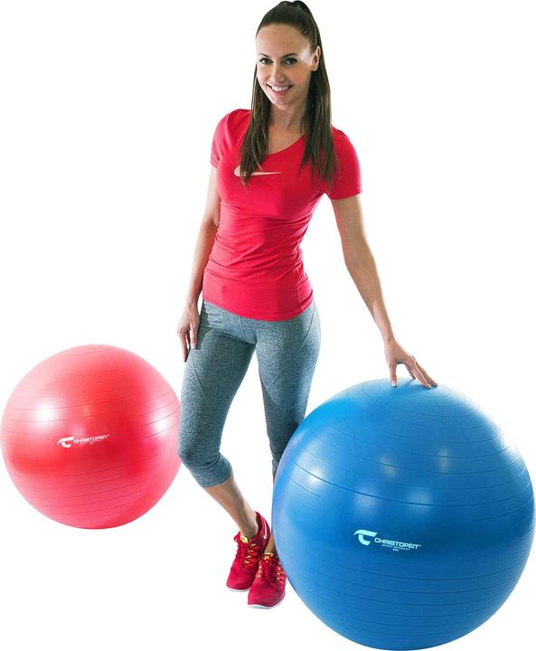 Image du produit Christopeit Balle de gymnastique 65 cm avec pompe (65 cm)