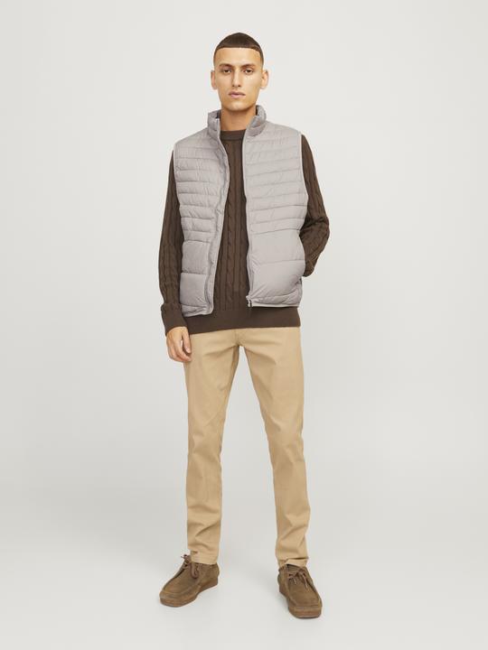 Actual product image Jack & Jones Jjestate Packable Bw Collar Noos (L)